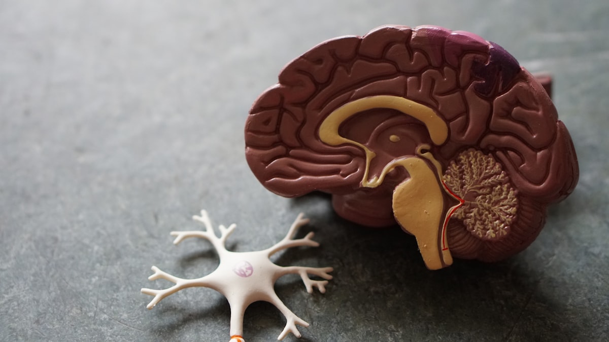 CBIT for Tourette's, tics and OCD