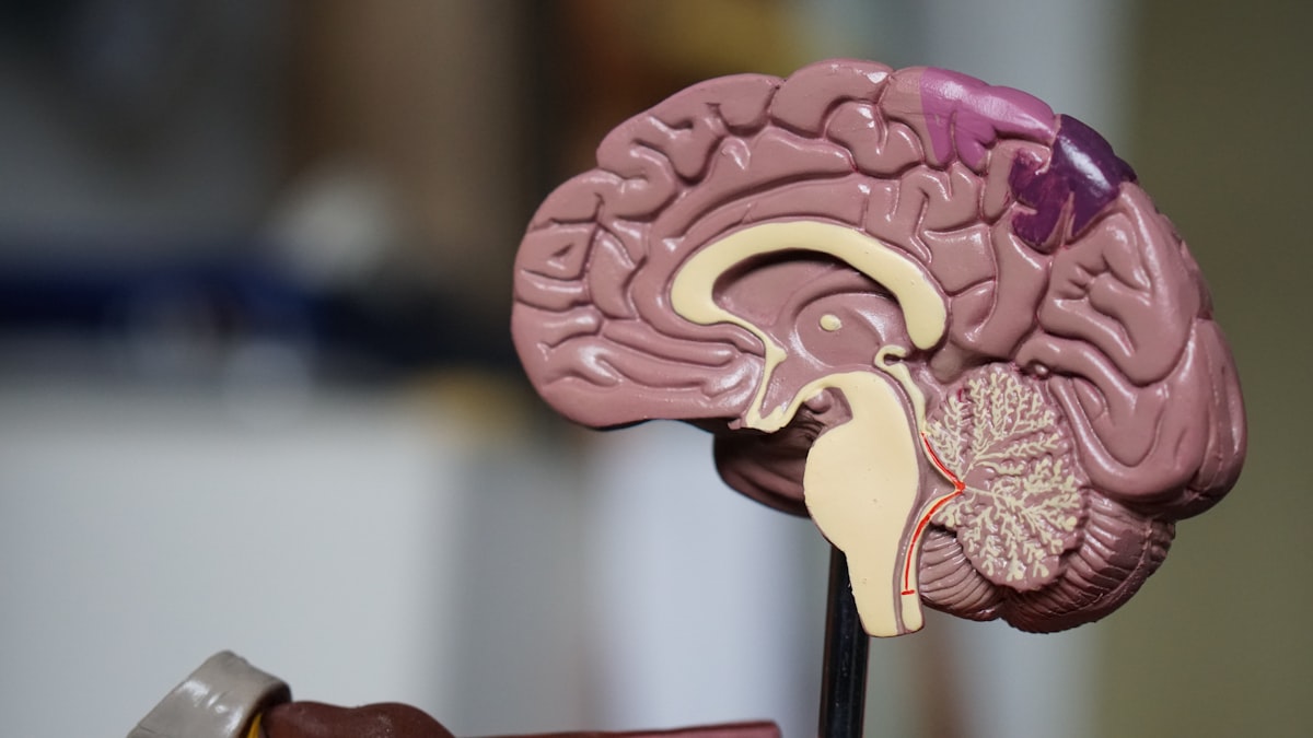 Tourette Syndrome and tics support